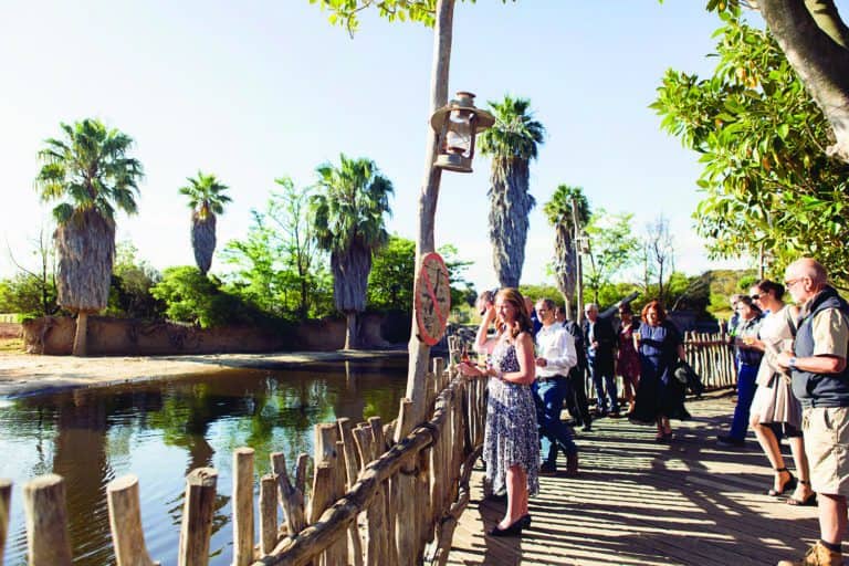 Hippo area